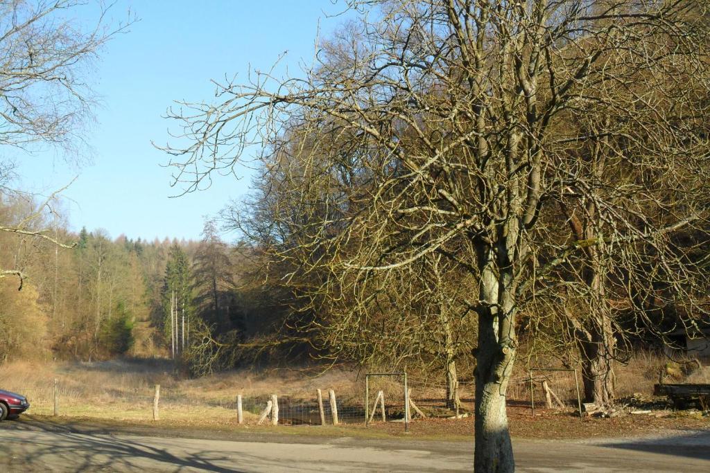 Hotel Badstube Otterberg Esterno foto